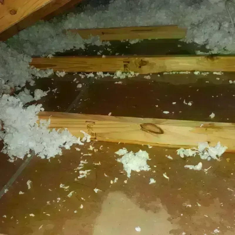 Attic Water Damage in Wadsworth, IL